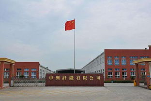 申洲國際半年業績增收10.8%，生產效率提升成關鍵驅動力，運動類產品銷售額占67.9%