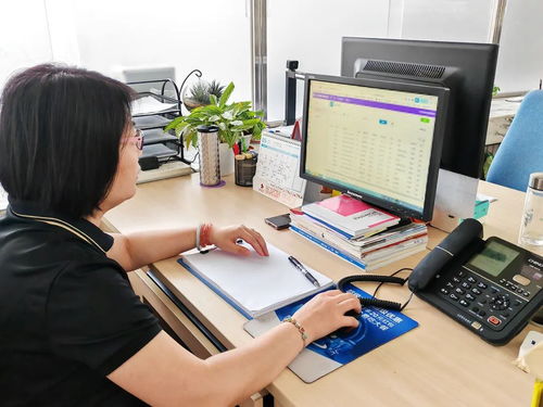 順義區(qū)為高校畢業(yè)生提供無縫銜接式就業(yè)服務，計算機信息技術咨詢助力精準就業(yè)